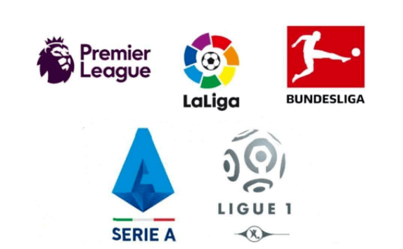 在此期间 在此期间