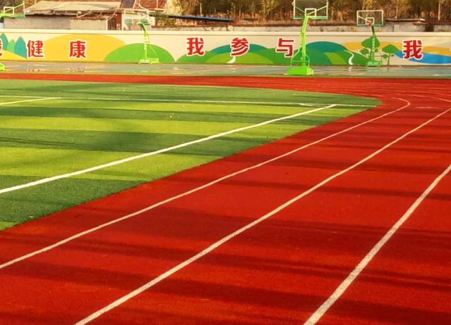 未来展望 未来展望