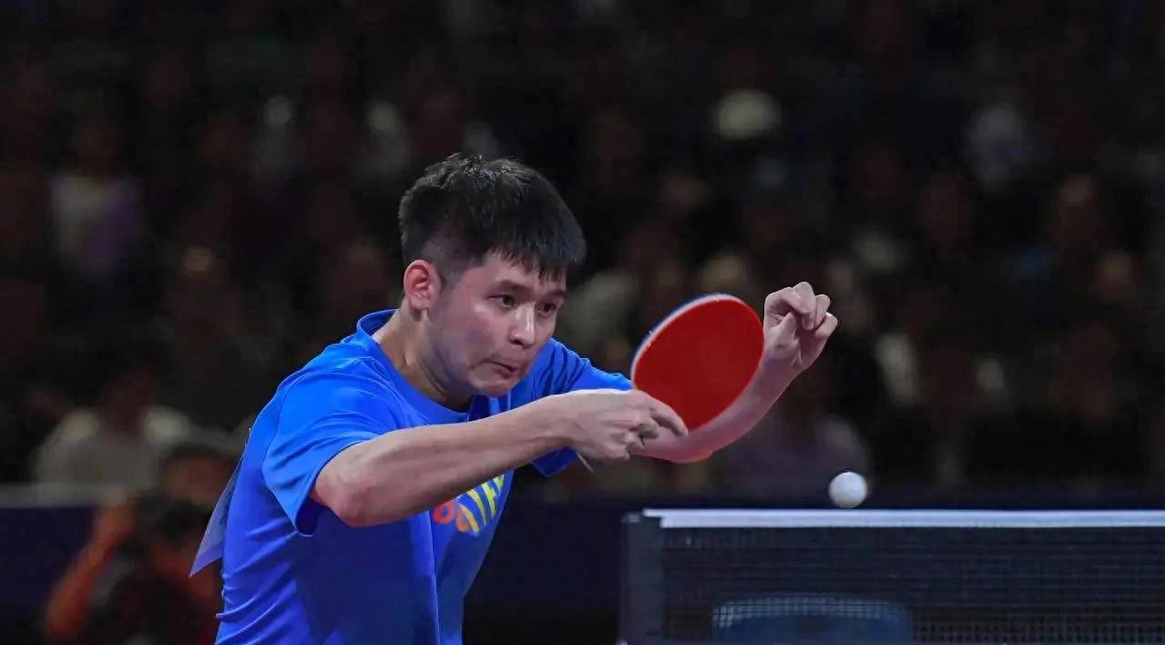 他们不仅为 他们不仅为