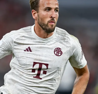 所率领的球 所率领的球